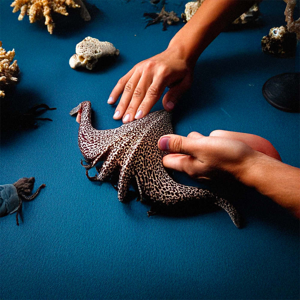 The Deep_Abilities title visual shows hands touching a deep sea organism (specimen) placed on a blue surface