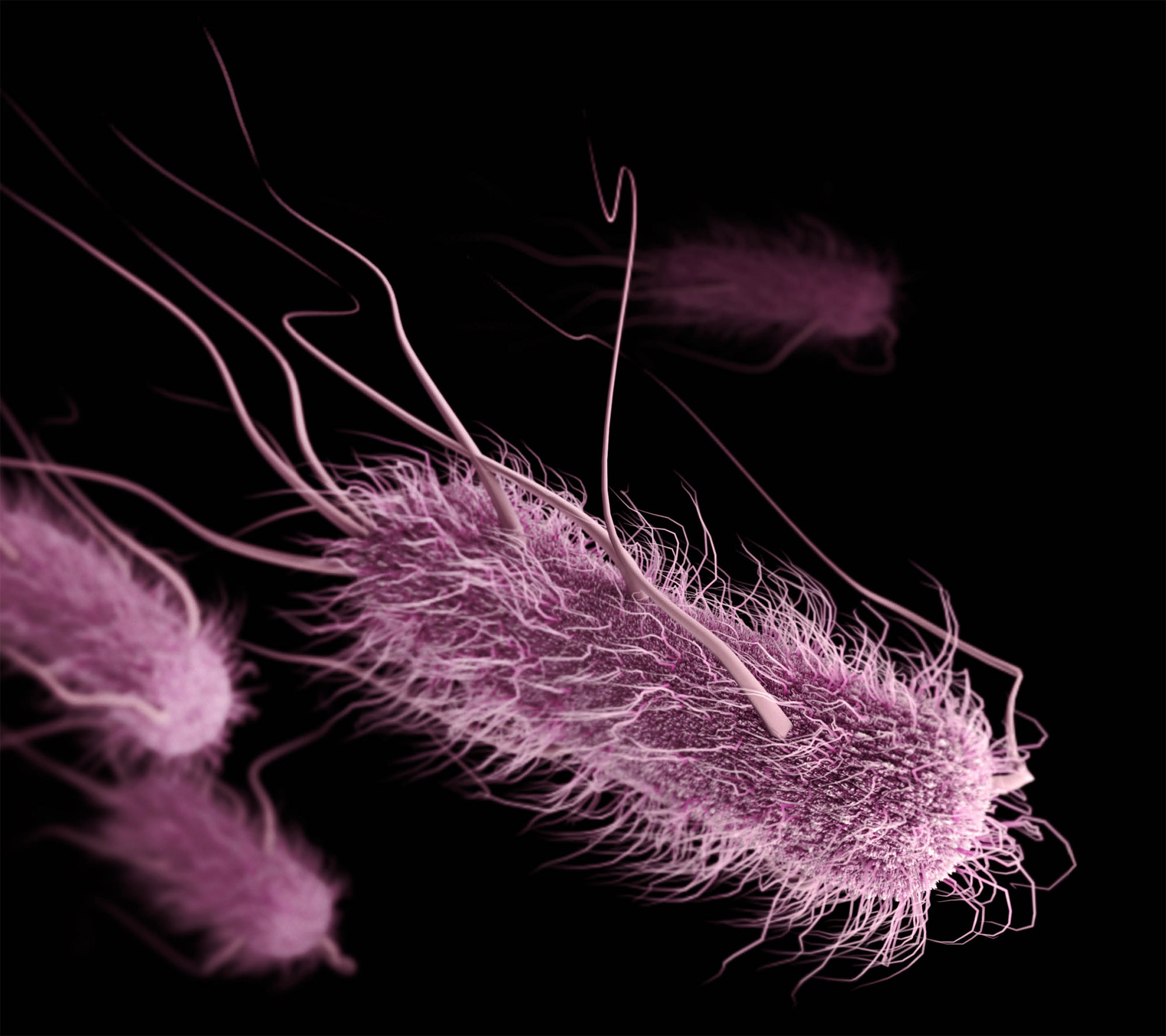 Microbial Matters: Beatriz Colomina and Mark Wigley