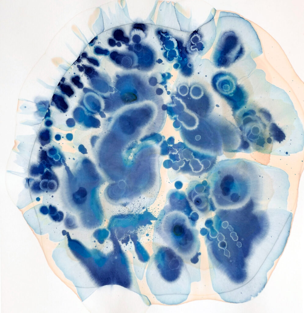 Künstlerische Chromatographie-Arbeit der Künstlerin Kerstin Stoll mit Berliner Blau auf Papier. Innerhalb einer großen kreisförmigen Fläche breiten sich intensive blaue und türkisfarbene Pigmente in organischen Mustern aus. Dunkle Punkte, ringförmige Strukturen und weich verlaufende Farbwolken erinnern an mikroskopische Aufnahmen oder Flüssigkeiten in Bewegung. Die Farben wirken, als hätten sie sich durch Wasser oder chemische Reaktionen über das Papier verteilt. Transparente Ränder und unterschiedliche Farbdichten machen sowohl den experimentellen Prozess als auch die malerische Wirkung sichtbar.