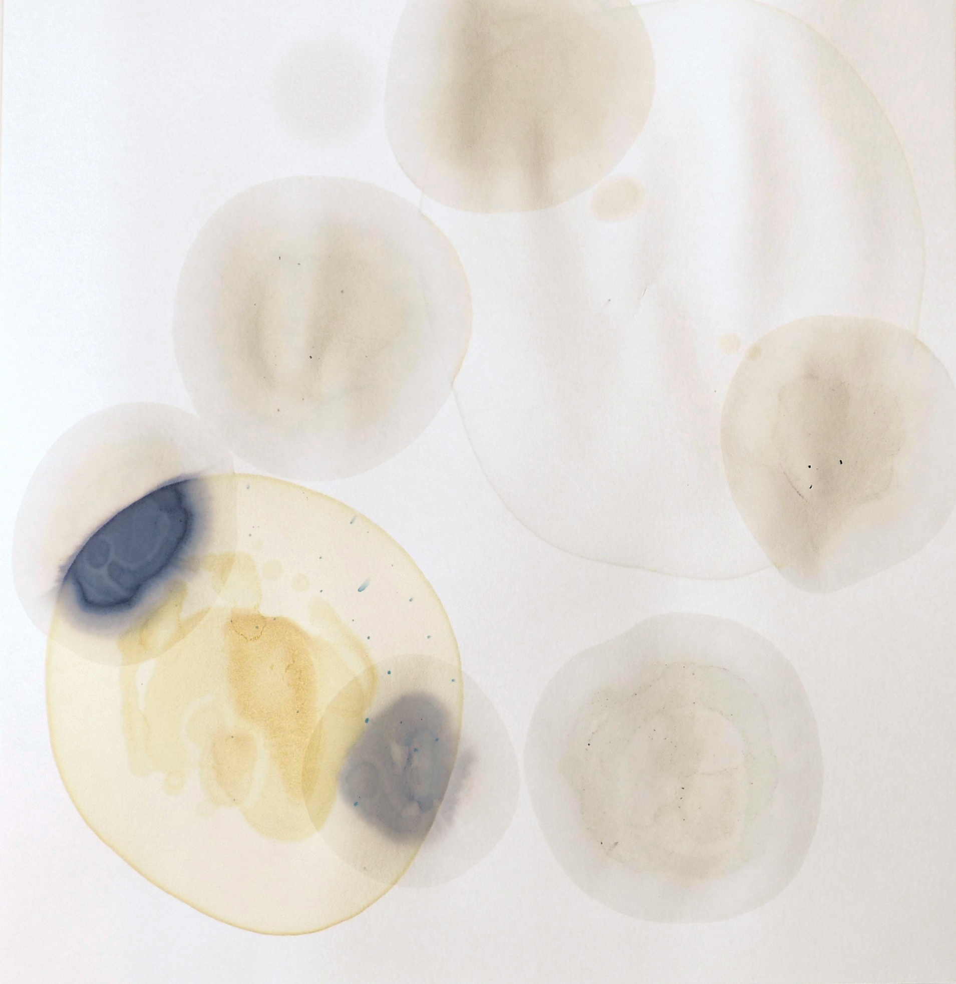 Künstlerische Chromatographie-Arbeit der Künstlerin Kerstin Stoll mit Berliner Blau auf Papier in sehr hellen, reduzierten Farbtönen. Mehrere transparente Kreisformen überlagern sich auf weißem Hintergrund. Zarte beige, graue und blassblaue Spuren zeigen die Ausbreitung stark verdünnter Pigmente im Papier. Im unteren linken Bereich befindet sich eine größere gelbliche Fläche mit weich verlaufenden blauen Farbresten. Die Arbeit wirkt ruhig, leicht und beinahe durchsichtig und verbindet wissenschaftlich anmutende Prozesse mit abstrakter Malerei.